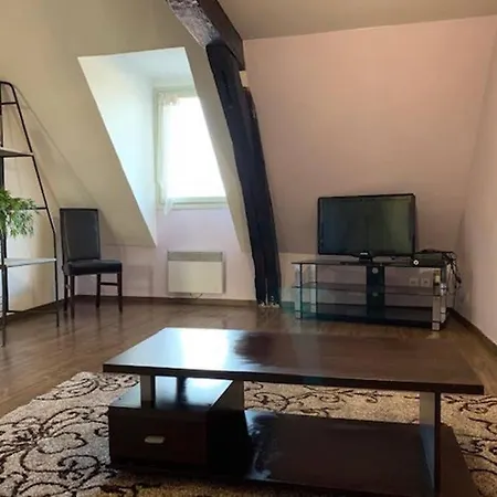 Lägenhet De Charme 60m² Situe En Centre Ville *