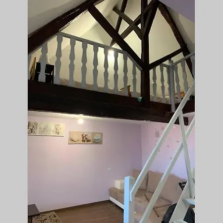 Lägenhet De Charme 60m² Situe En Centre Ville
